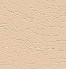 Earthlite/Living Earth Crafts Marie Beige Natursoft Vinyl Swatch